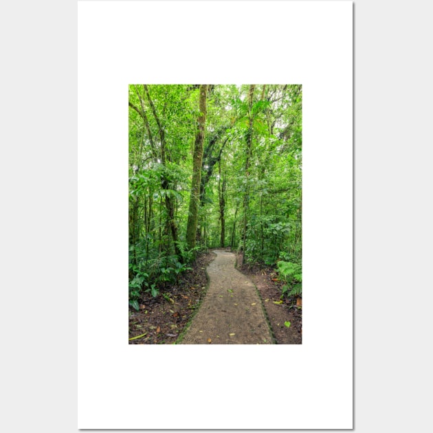 Path in Monteverde cloud forest Costa Rica Wall Art by Juhku